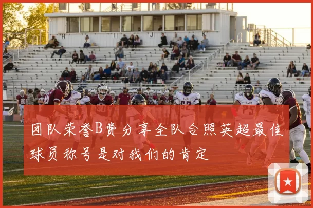 团队荣誉B费分享全队合照英超最佳球员称号是对我们的肯定