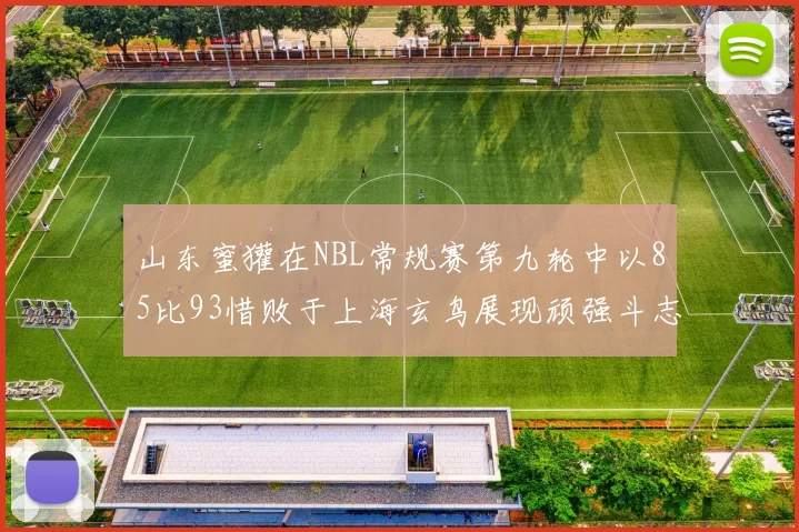 山东蜜獾在NBL常规赛第九轮中以85比93惜败于上海玄鸟展现顽强斗志